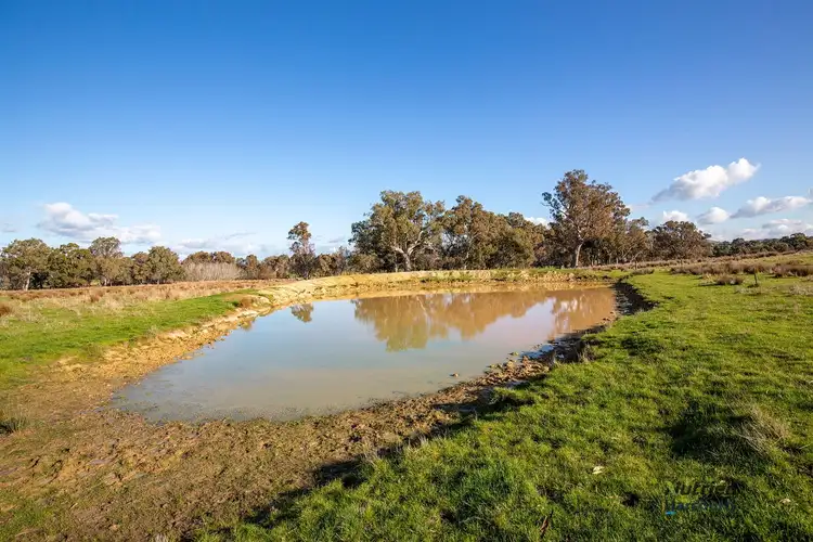 Sixth view of Homely rural property listing, 197 Limestone Road, Yea VIC 3717