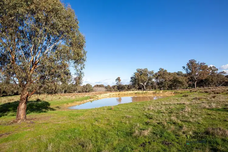 Seventh view of Homely rural property listing, 197 Limestone Road, Yea VIC 3717