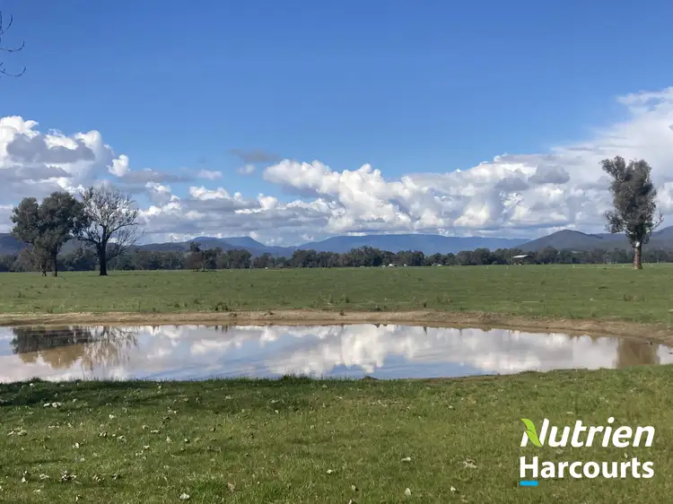 Main view of Homely rural property listing, 2703 Wangaratta-Whitfield Road, Moyhu VIC 3732
