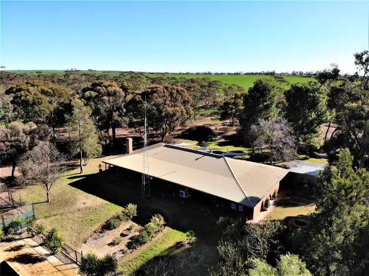 Third view of Homely rural property listing, 265 Chaplin Road, Tutye VIC 3490