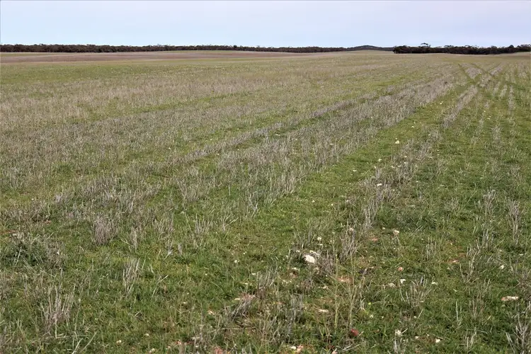 Third view of Homely rural property listing, . Allan Road, Murrayville VIC 3512