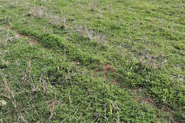 Fourth view of Homely rural property listing, . Allan Road, Murrayville VIC 3512