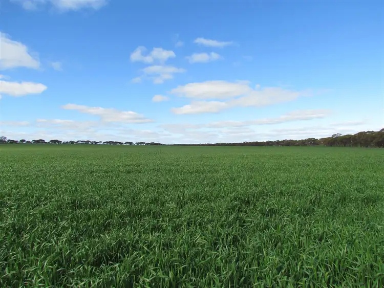 Second view of Homely rural property listing, 383 Kirwan East Road, Burakin WA 6467