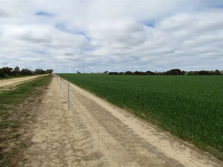 Third view of Homely rural property listing, 383 Kirwan East Road, Burakin WA 6467