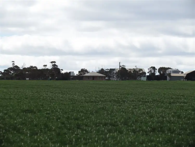 Fifth view of Homely rural property listing, 383 Kirwan East Road, Burakin WA 6467