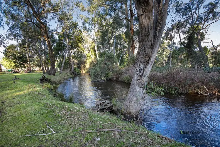 Third view of Homely rural property listing, 31 Myles Bend Drive, Murrindindi VIC 3717