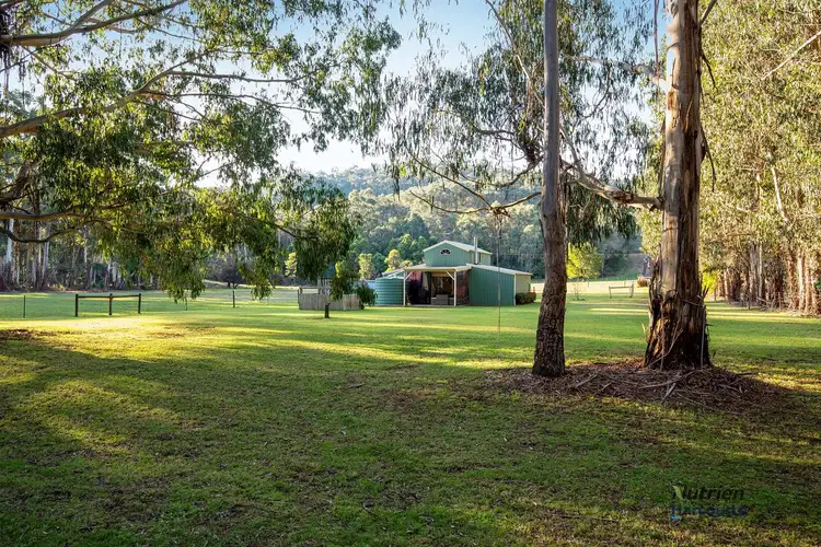 Fifth view of Homely rural property listing, 31 Myles Bend Drive, Murrindindi VIC 3717