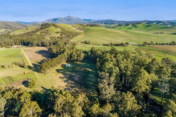 Sixth view of Homely rural property listing, 31 Myles Bend Drive, Murrindindi VIC 3717