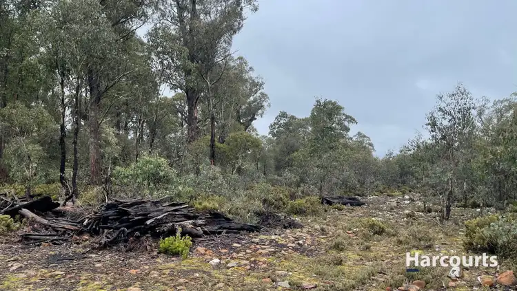 Seventh view of Homely land listing, 731 Arthurs Lake Road, Arthurs Lake TAS 7030