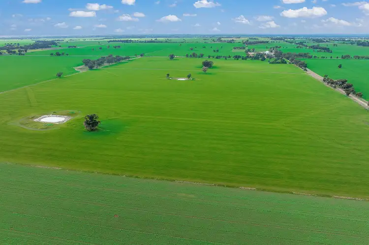 Third view of Homely rural property listing, 3748 Benalla - Tocumwal Road, Youarang VIC 3728