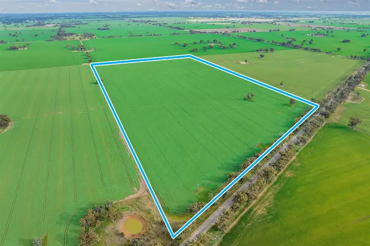 Sixth view of Homely rural property listing, 3748 Benalla - Tocumwal Road, Youarang VIC 3728