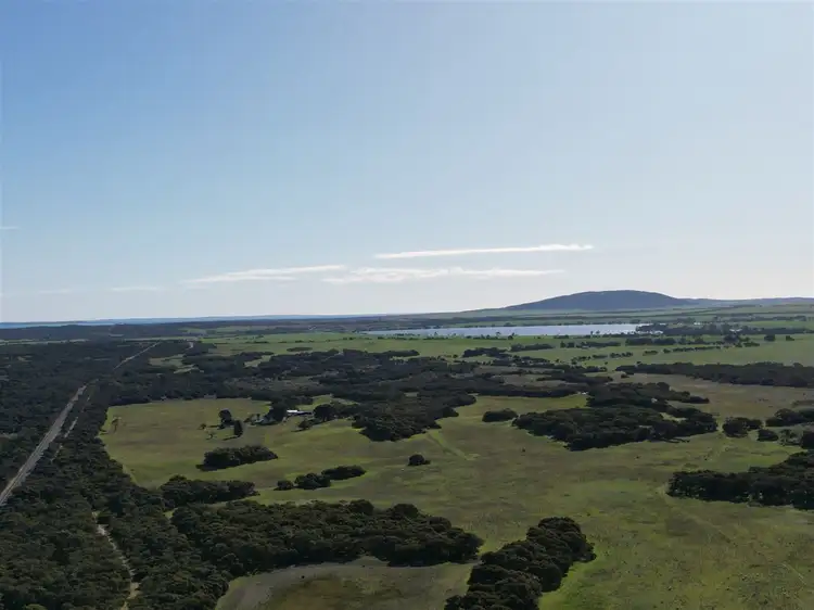 Main view of Homely rural property listing, 3600 Flinders Highway, Wangary SA 5607