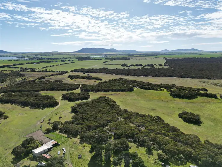 Second view of Homely rural property listing, 3600 Flinders Highway, Wangary SA 5607