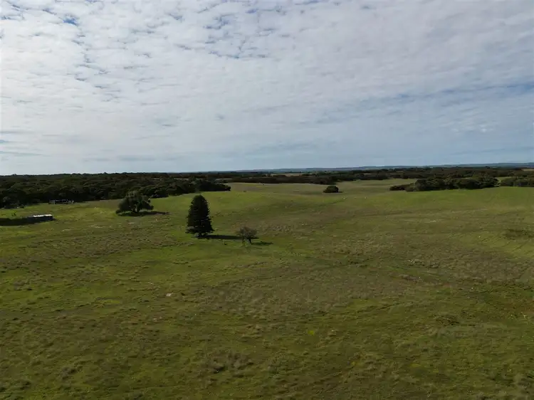 Fourth view of Homely rural property listing, 3600 Flinders Highway, Wangary SA 5607