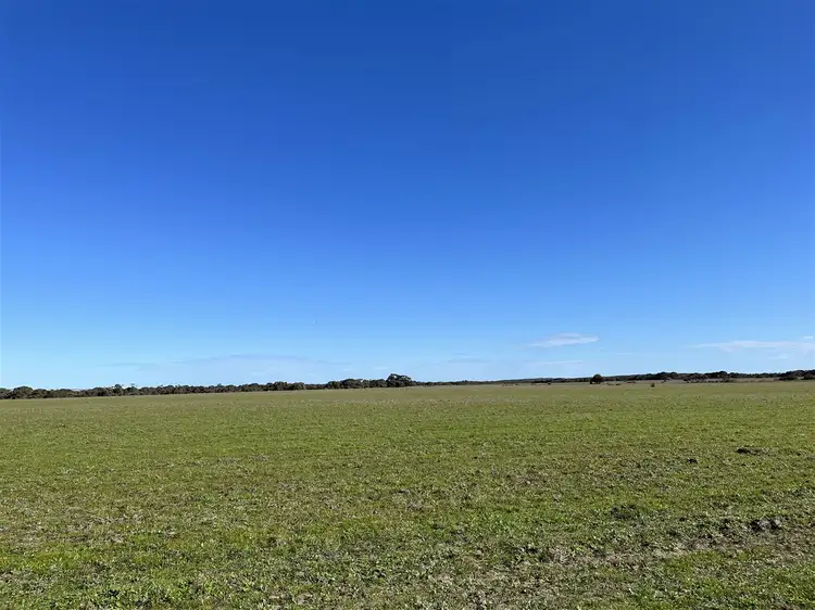 Seventh view of Homely rural property listing, 3600 Flinders Highway, Wangary SA 5607