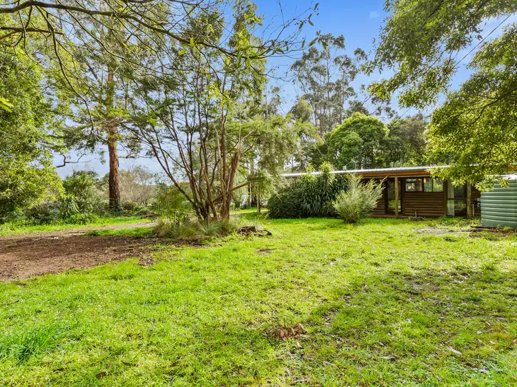 Main view of Homely house listing, 16 Frederick Street, Red Hill VIC 3937