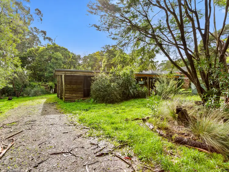 Second view of Homely house listing, 16 Frederick Street, Red Hill VIC 3937