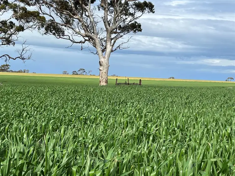 . 'Corrylynne', Dowerin WA 6461