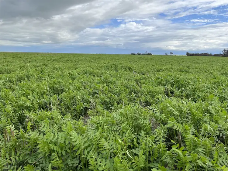 Second view of Homely rural property listing, . 'Corrylynne', Dowerin WA 6461