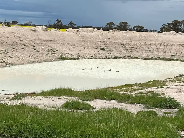 Fourth view of Homely rural property listing, . 'Corrylynne', Dowerin WA 6461