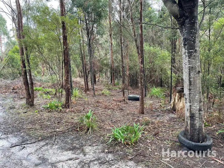Fourth view of Homely land listing, Lot 1 Praciaks Road, Pipers River TAS 7252