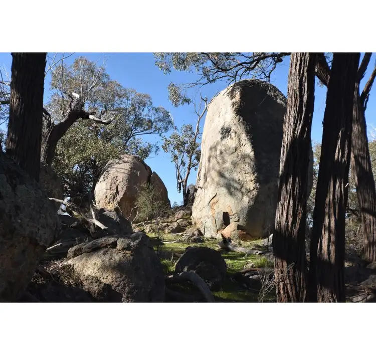 Second view of Homely rural property listing, 197 Wilkinsons Lane, Euroa VIC 3666