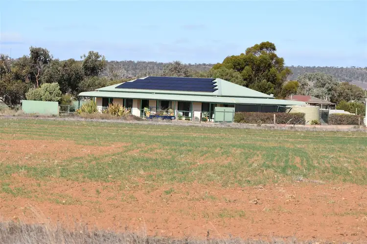 Main view of Homely house listing, 49 Quarry Road, Quorn SA 5433