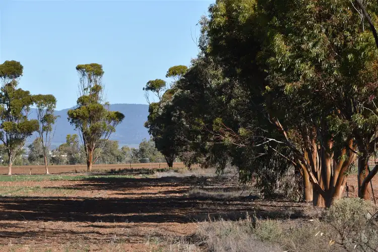 Third view of Homely house listing, 49 Quarry Road, Quorn SA 5433