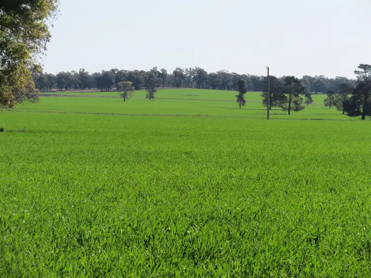 Seventh view of Homely rural property listing, 782 Lewes Road, Tallimba NSW 2669