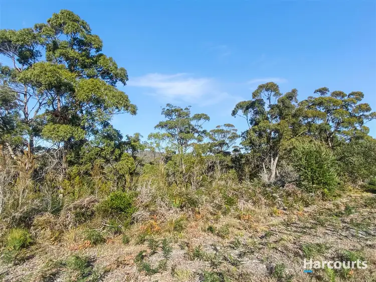 Fourth view of Homely rural property listing, 17 Jeanneret Crescent, Binalong Bay TAS 7216