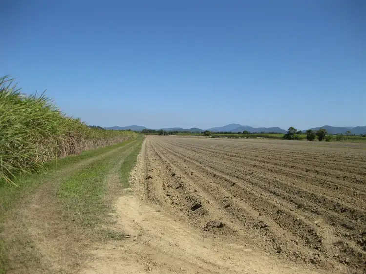 Second view of Homely rural property listing, 305 Spanos Road, Mccutcheon QLD 4856