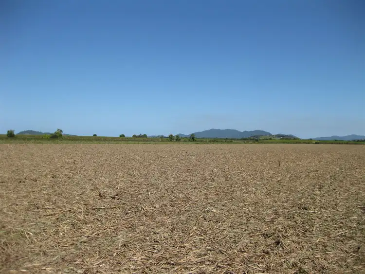 Fifth view of Homely rural property listing, 305 Spanos Road, Mccutcheon QLD 4856