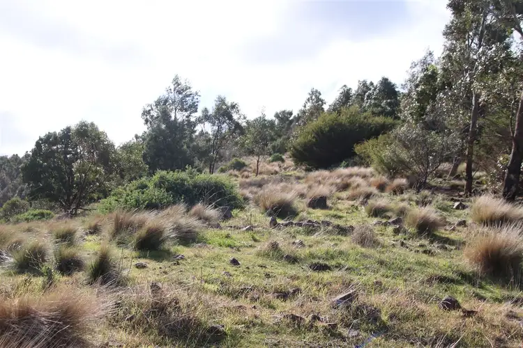 Fourth view of Homely rural property listing, The Island/138 Myers Lane and Palmers Lane, Pentland Hills VIC 3341