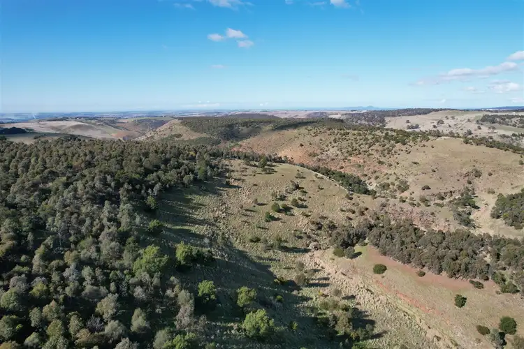 Sixth view of Homely rural property listing, The Island/138 Myers Lane and Palmers Lane, Pentland Hills VIC 3341