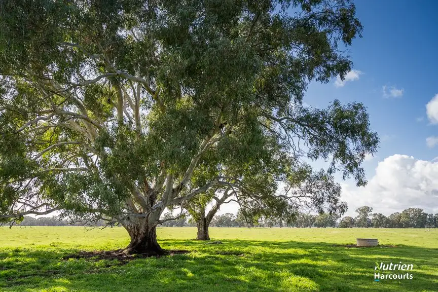 Main view of Homely rural property listing, Melia Rise/740 Goomalibee Road, Benalla VIC 3672