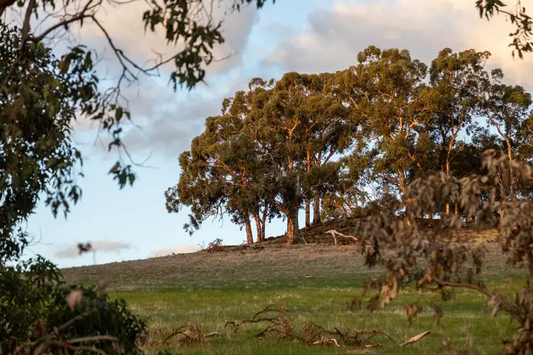 Main view of Homely land listing, LOT 640 McGlew Road, Lower Chittering WA 6084