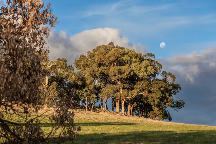 Third view of Homely land listing, LOT 640 McGlew Road, Lower Chittering WA 6084