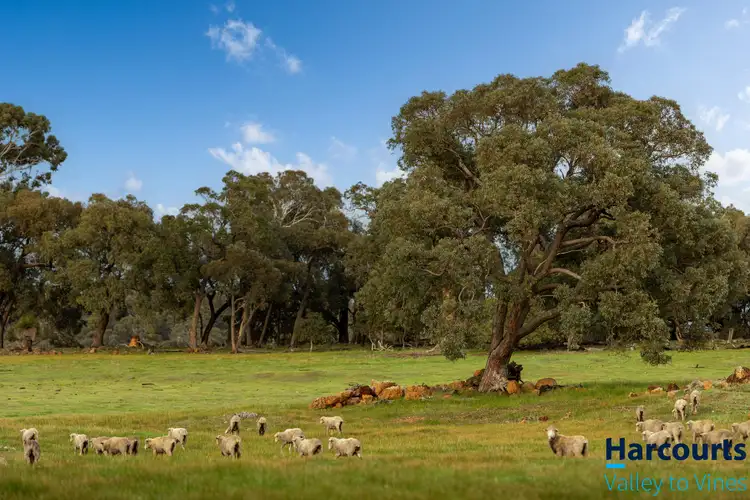 Third view of Homely land listing, LOT 638 McGlew Road, Lower Chittering WA 6084