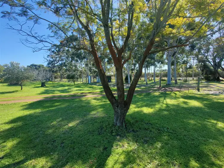 Fourth view of Homely rural property listing, 94 Bell Road, Coonabidgee WA 6503