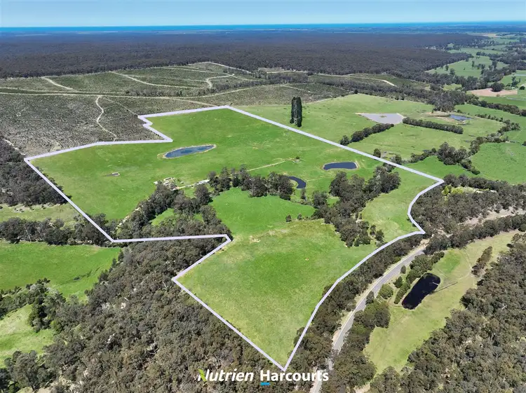 Second view of Homely rural property listing, 70 Pogues Road, Woodside North VIC 3874