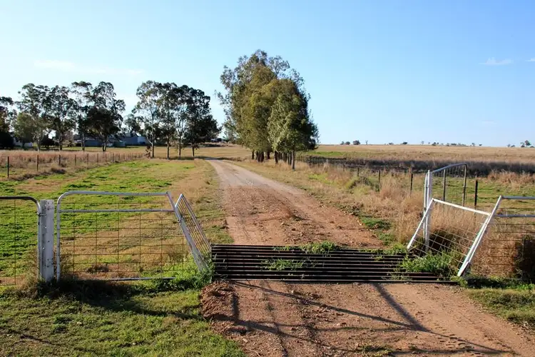 Second view of Homely rural property listing, 851 Stoney Creek Road, Narrabri NSW 2390