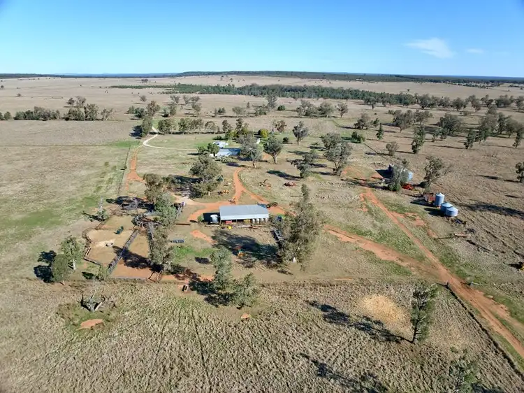 Fifth view of Homely rural property listing, 851 Stoney Creek Road, Narrabri NSW 2390