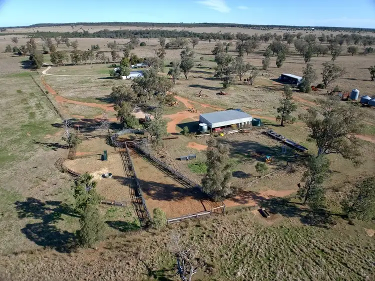 Sixth view of Homely rural property listing, 851 Stoney Creek Road, Narrabri NSW 2390