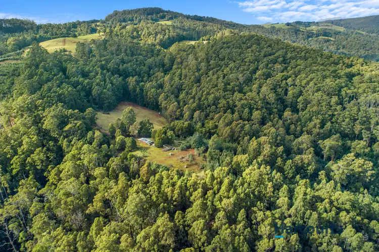 Fourth view of Homely rural property listing, . Harveys Road, North Motton TAS 7315