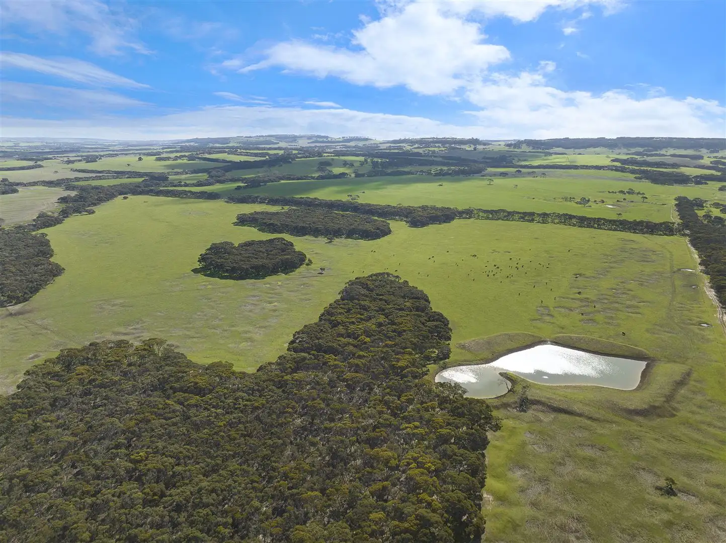 Main view of Homely rural property listing, 785 Springs Road, Menzies SA 5223