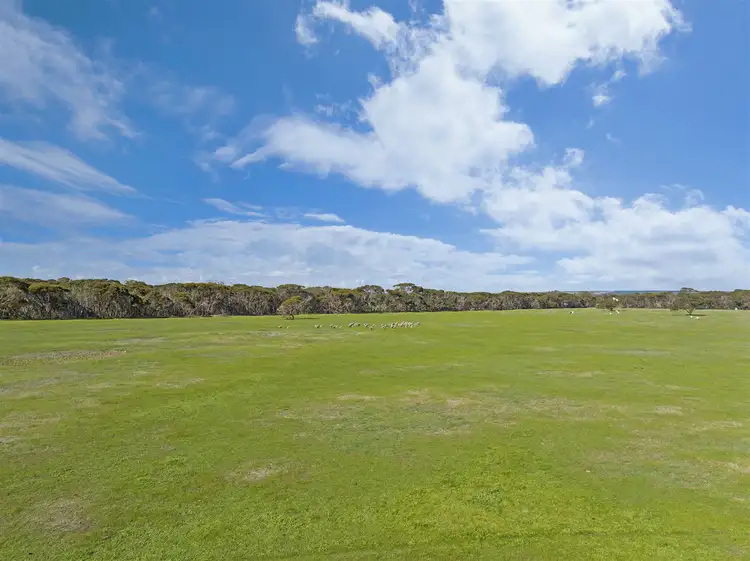 Fifth view of Homely rural property listing, 785 Springs Road, Menzies SA 5223