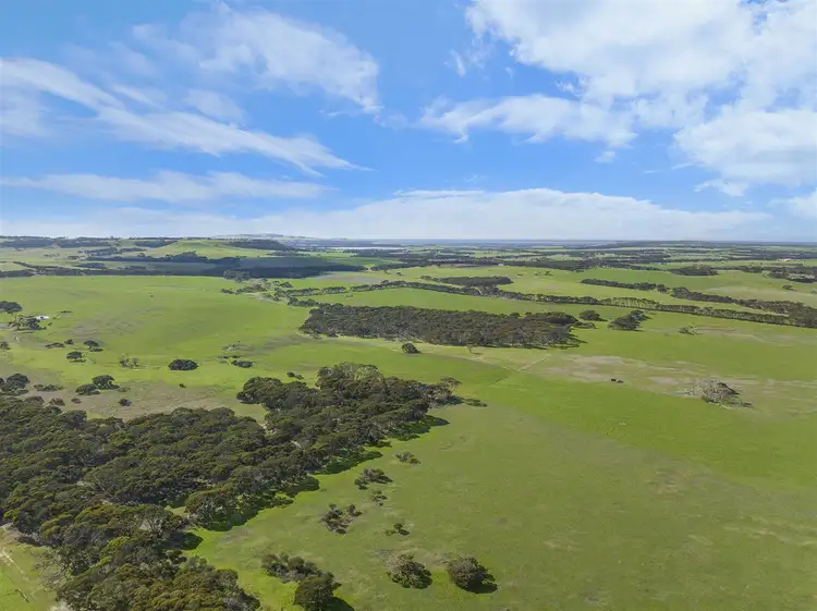 Sixth view of Homely rural property listing, 785 Springs Road, Menzies SA 5223