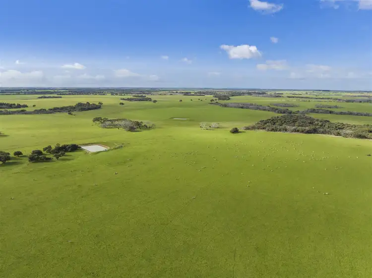 Main view of Homely rural property listing, Allot 94 Playford Highway, Newland SA 5223