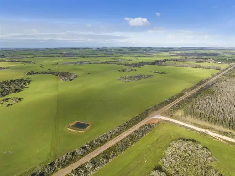Fifth view of Homely rural property listing, Allot 94 Playford Highway, Newland SA 5223