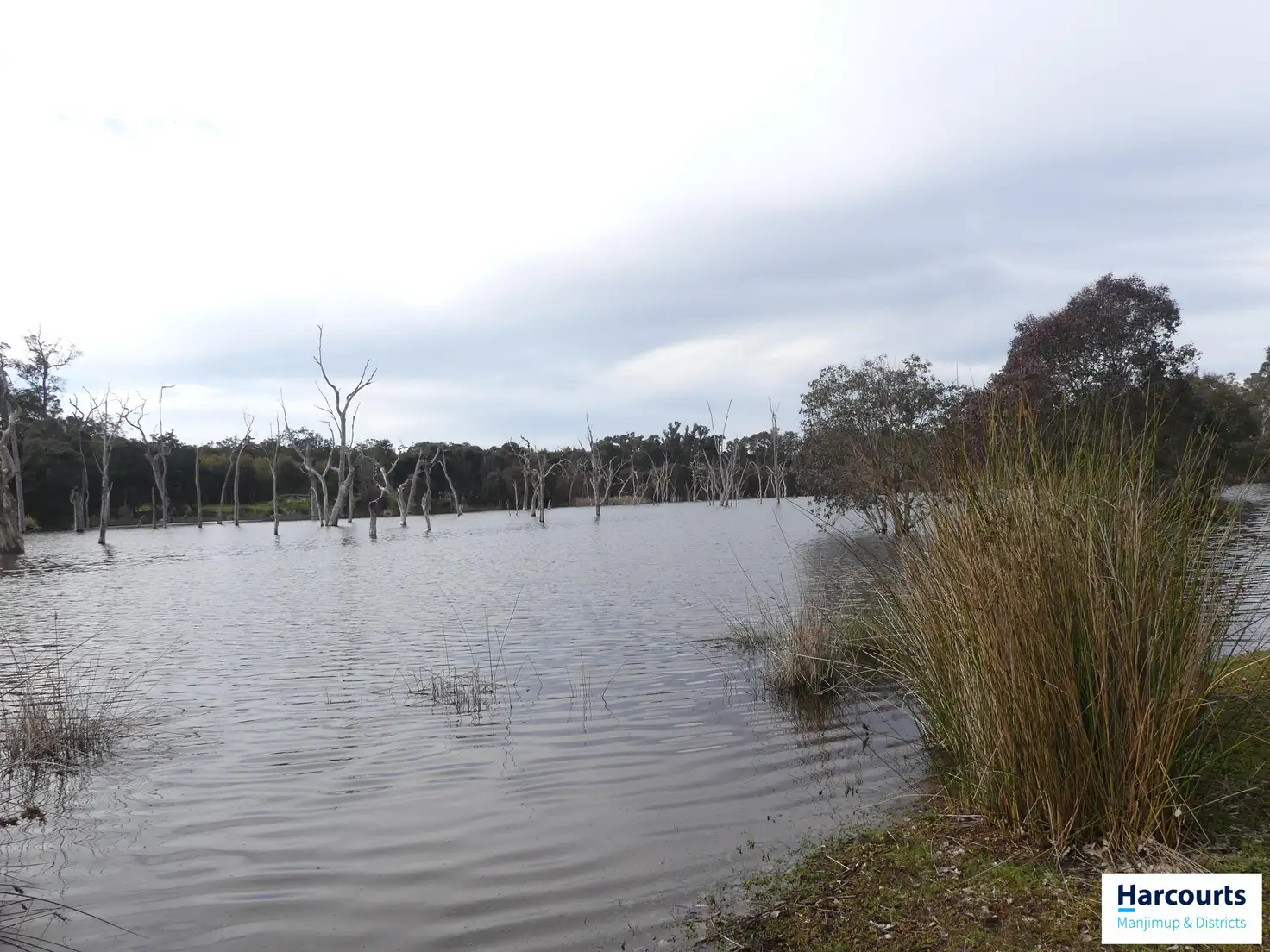 Main view of Homely land listing, LOT 200 Yarri Road (Balbarrup), Manjimup WA 6258